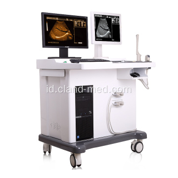 Mesin Ultrasound Trolley 3D medis dengan Workstation